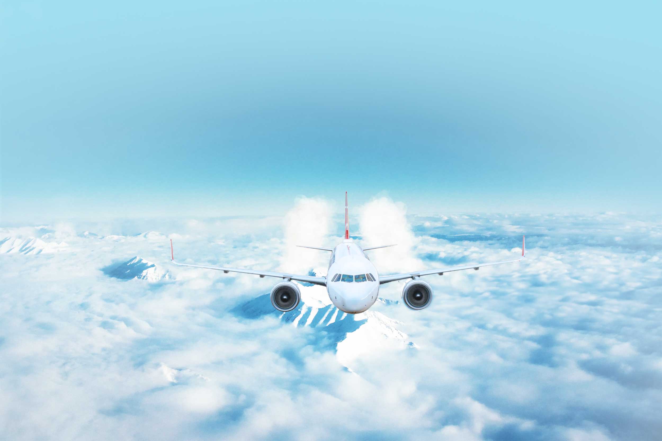 flight support services