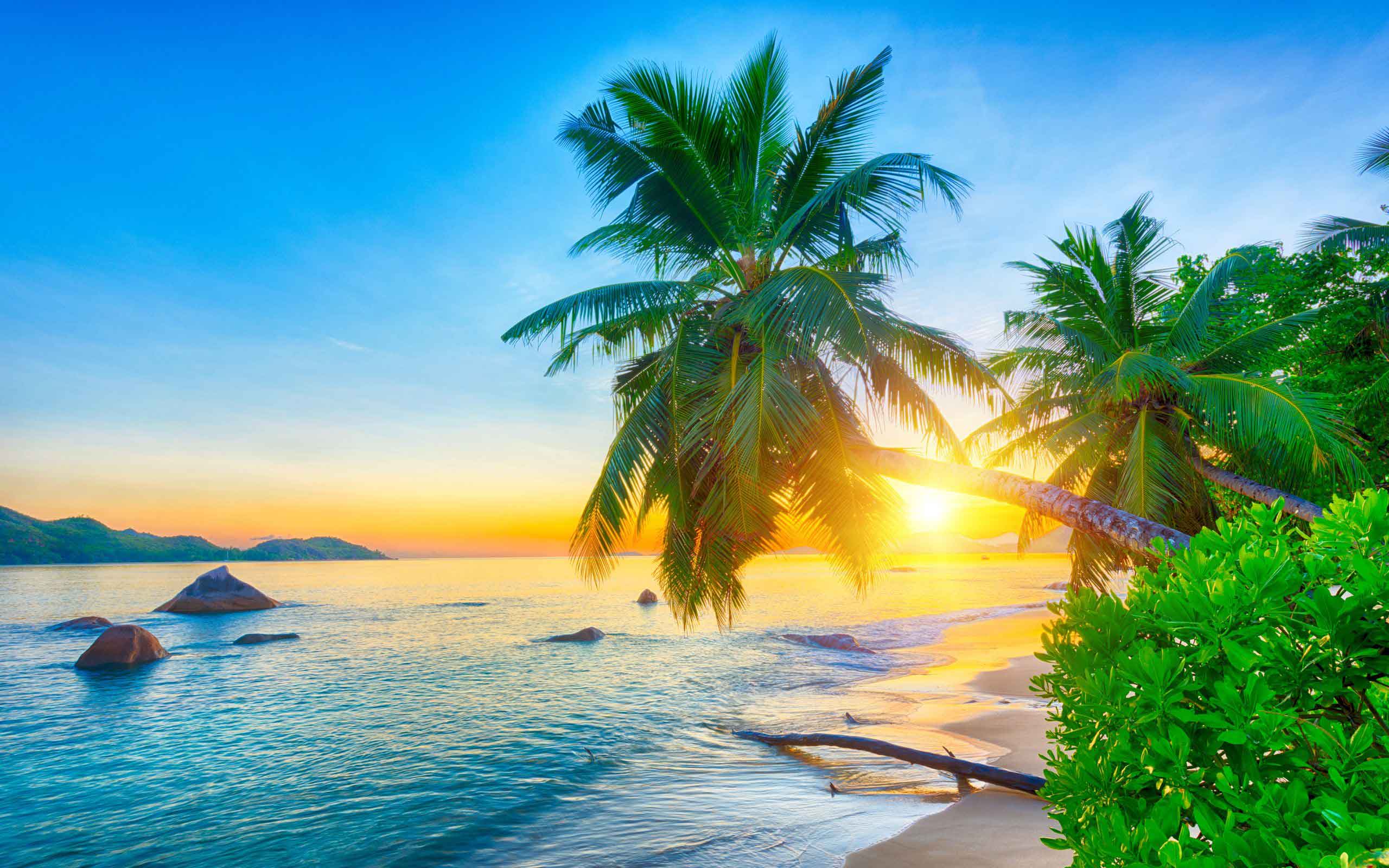 Private Jet to Seychelles – Island Luxury & Secluded Escapes with ASM Charter