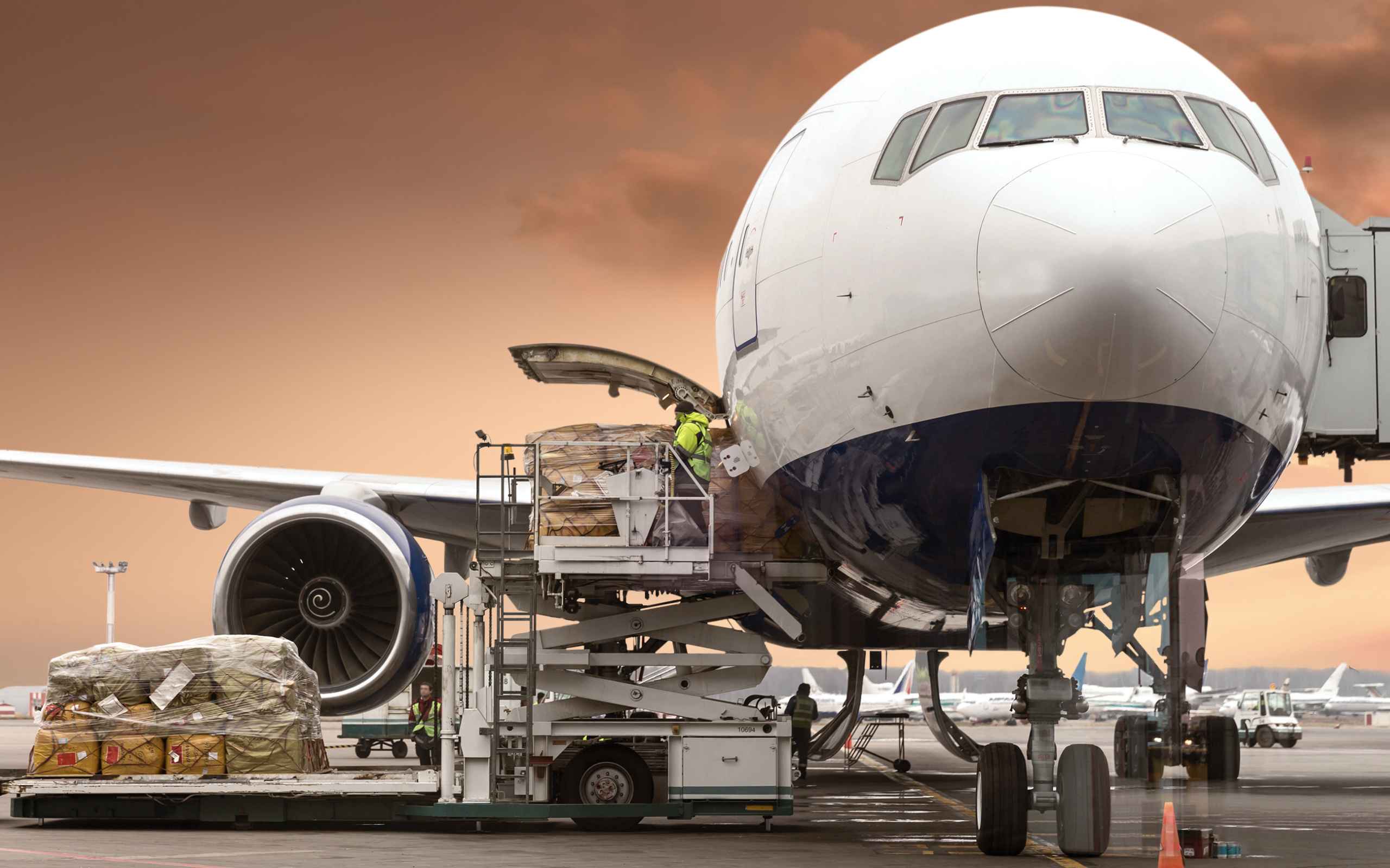 cargo flight support
