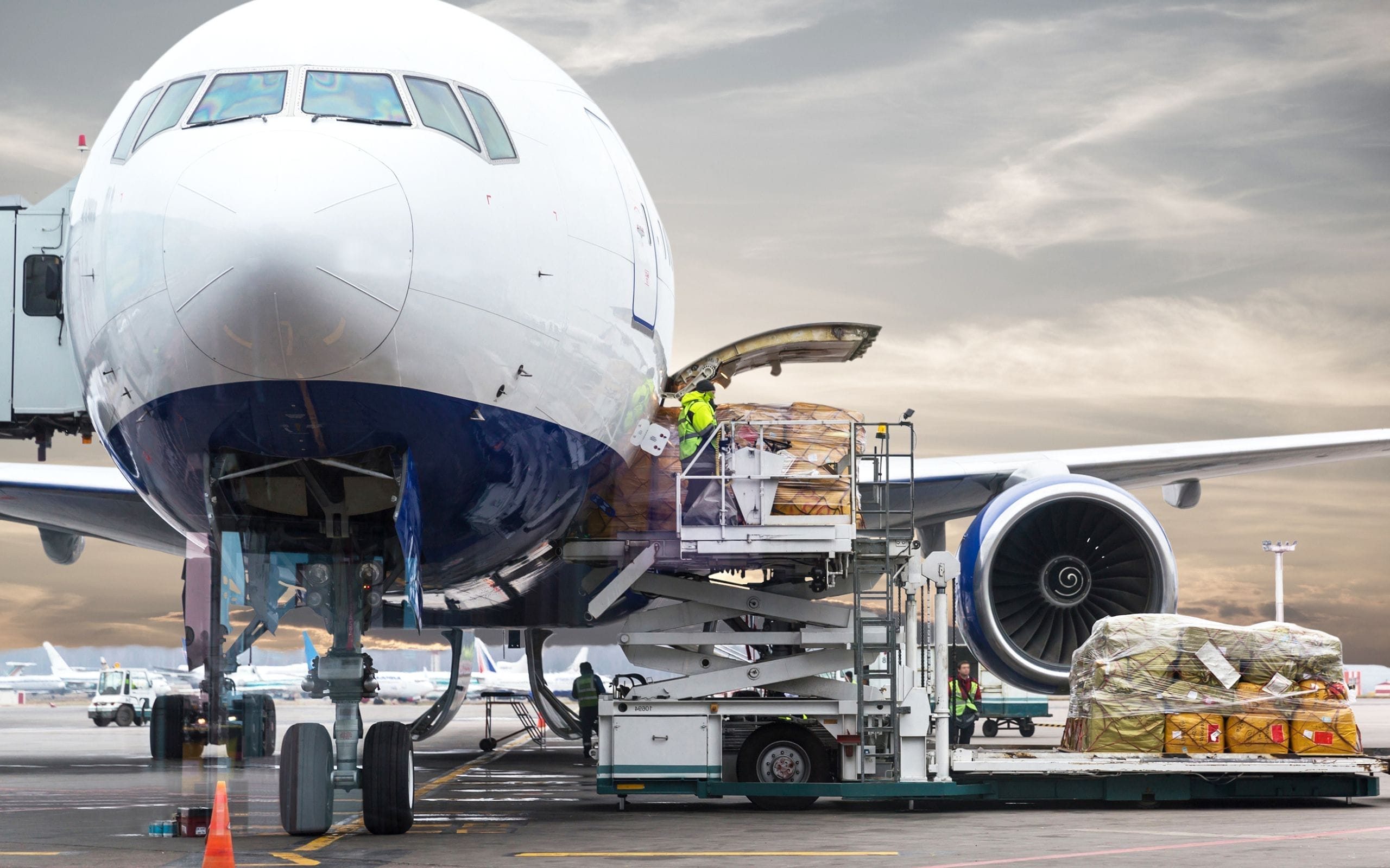 Cargo Flight Support Services